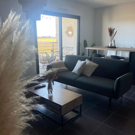 Appartement Vue Vigne Перпиньан Экстерьер фото
