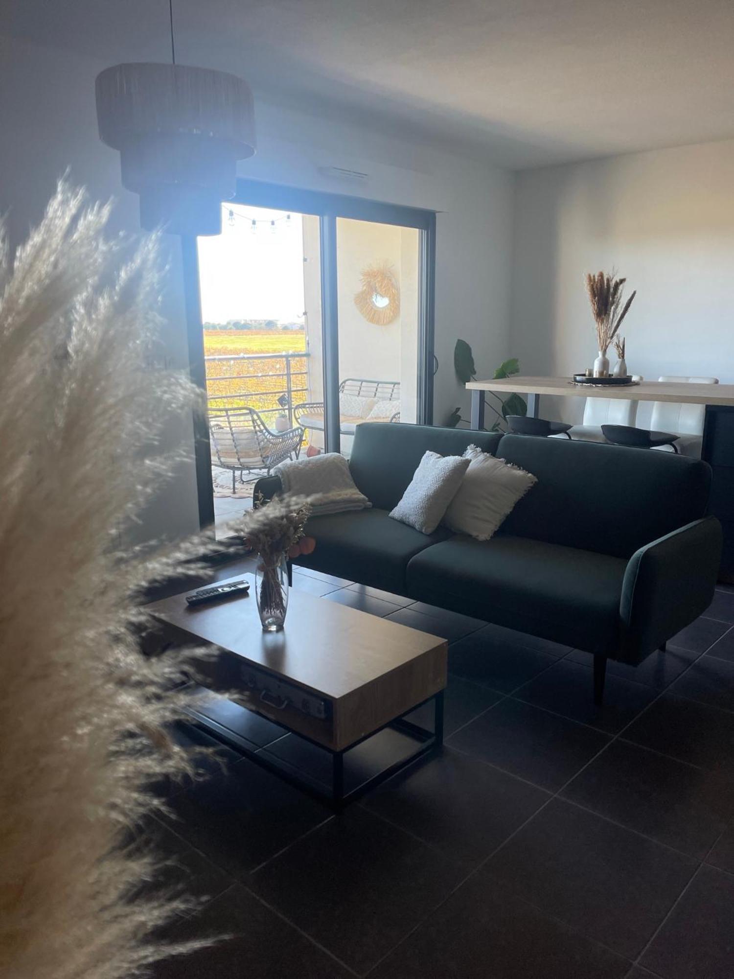 Appartement Vue Vigne Перпиньан Экстерьер фото